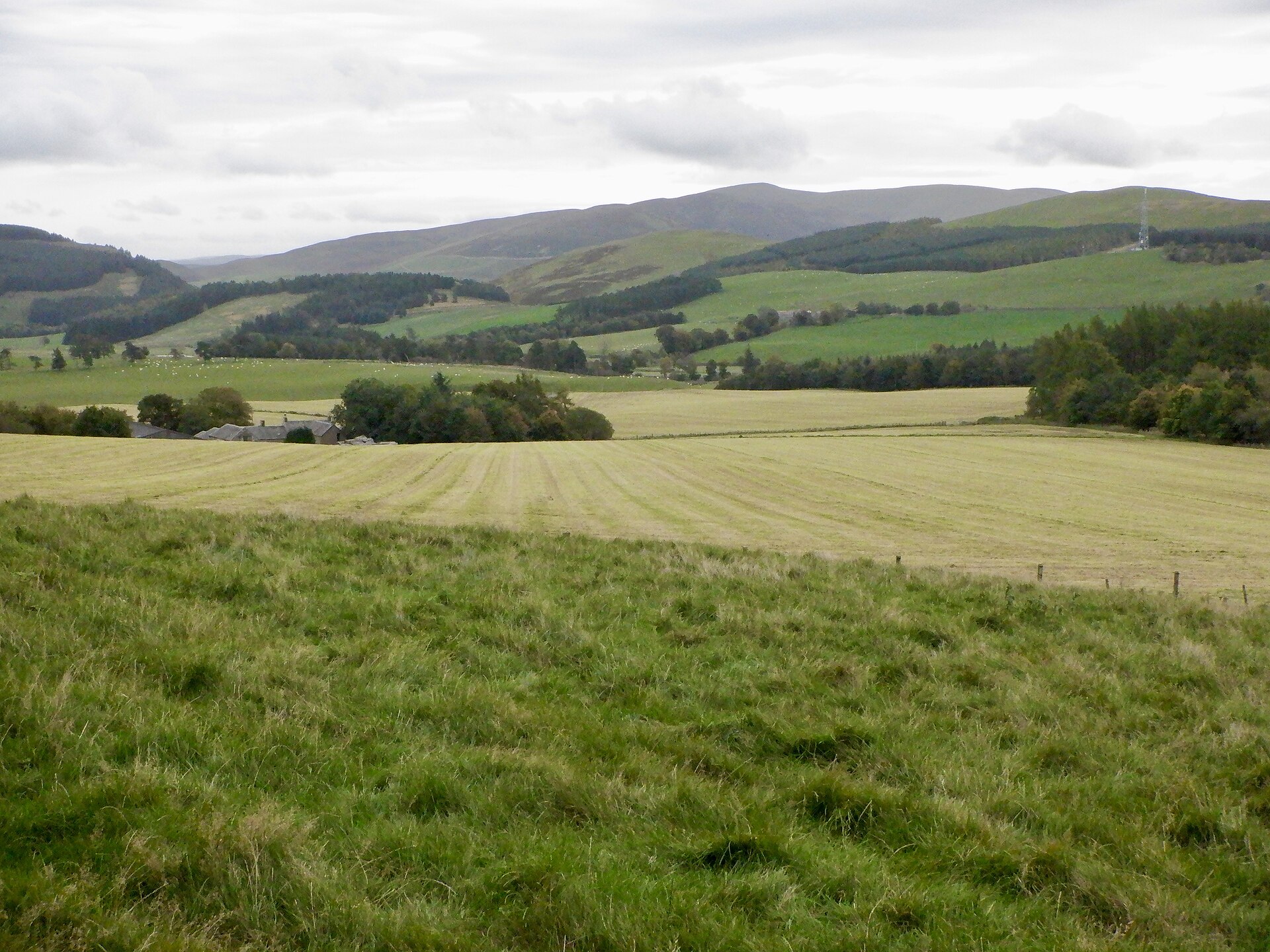 Silage harvest in a Scottish field