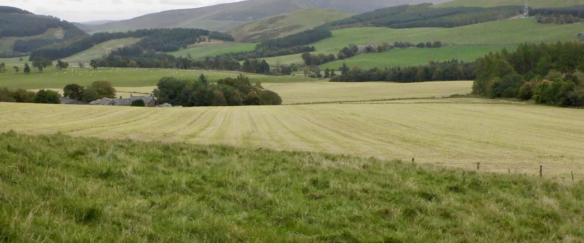 Silage harvest in a Scottish field