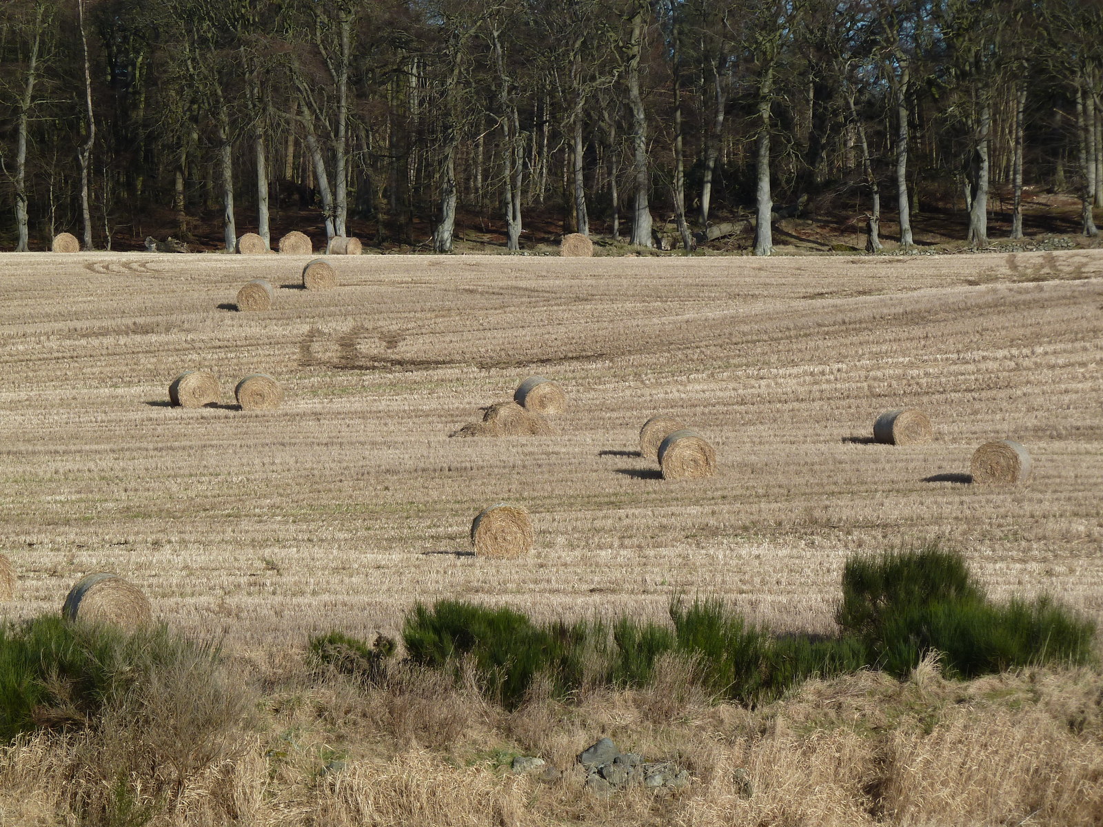 Farmland in the Machars, Wigtownshire