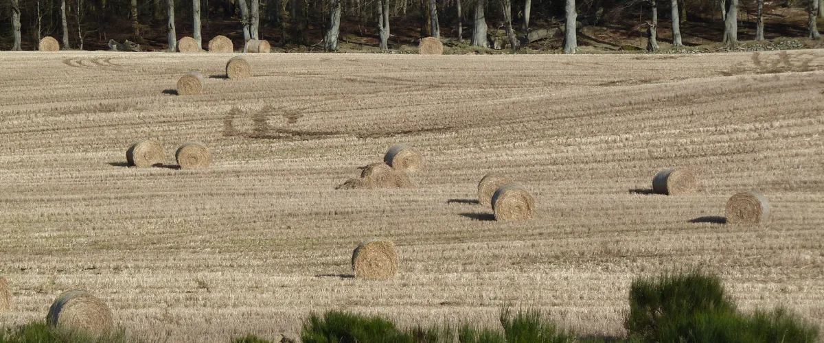 Farmland in the Machars, Wigtownshire