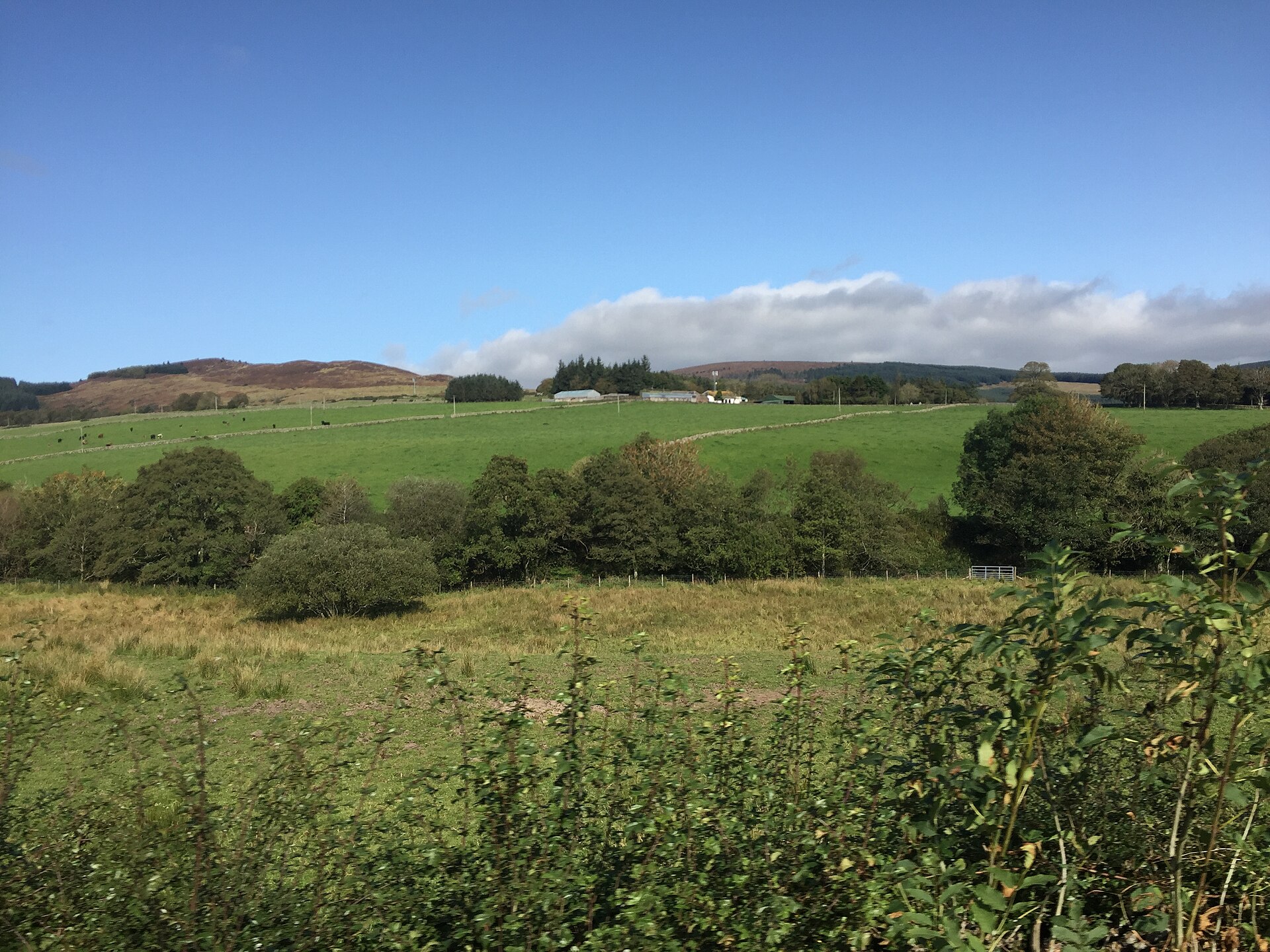 Farmland in Dumfries and Galloway