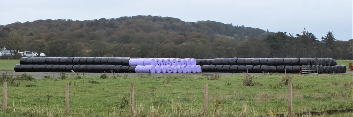 Round bales in a Galloway field