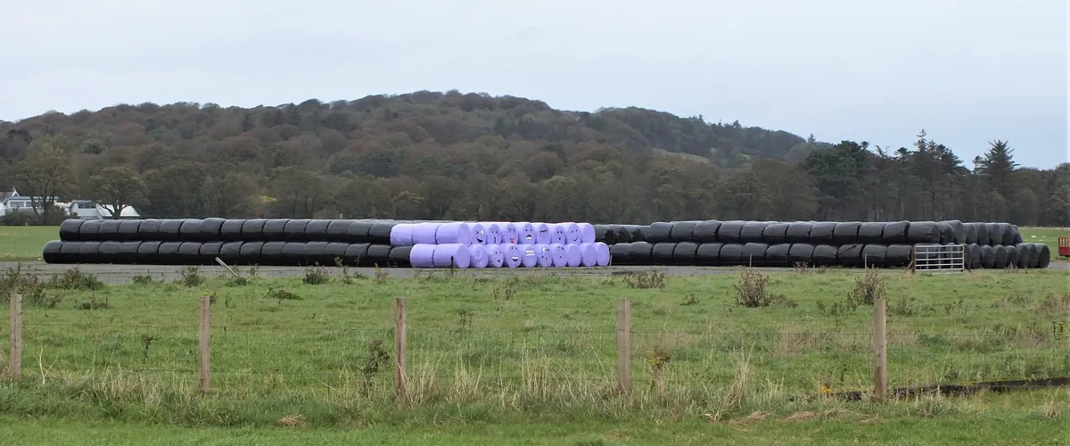 Round bales in a Galloway field