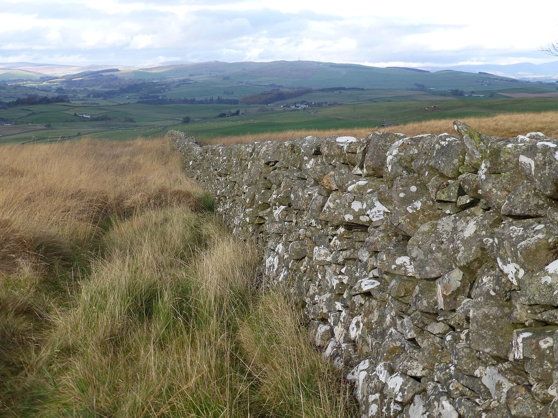 A drystane dyke bordering a Galloway field