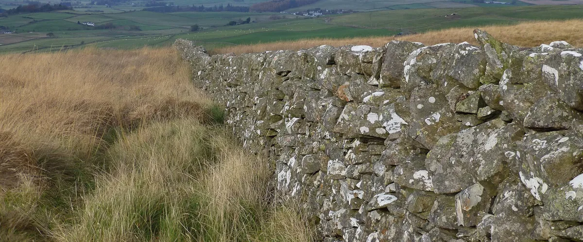 A drystane dyke bordering a Galloway field