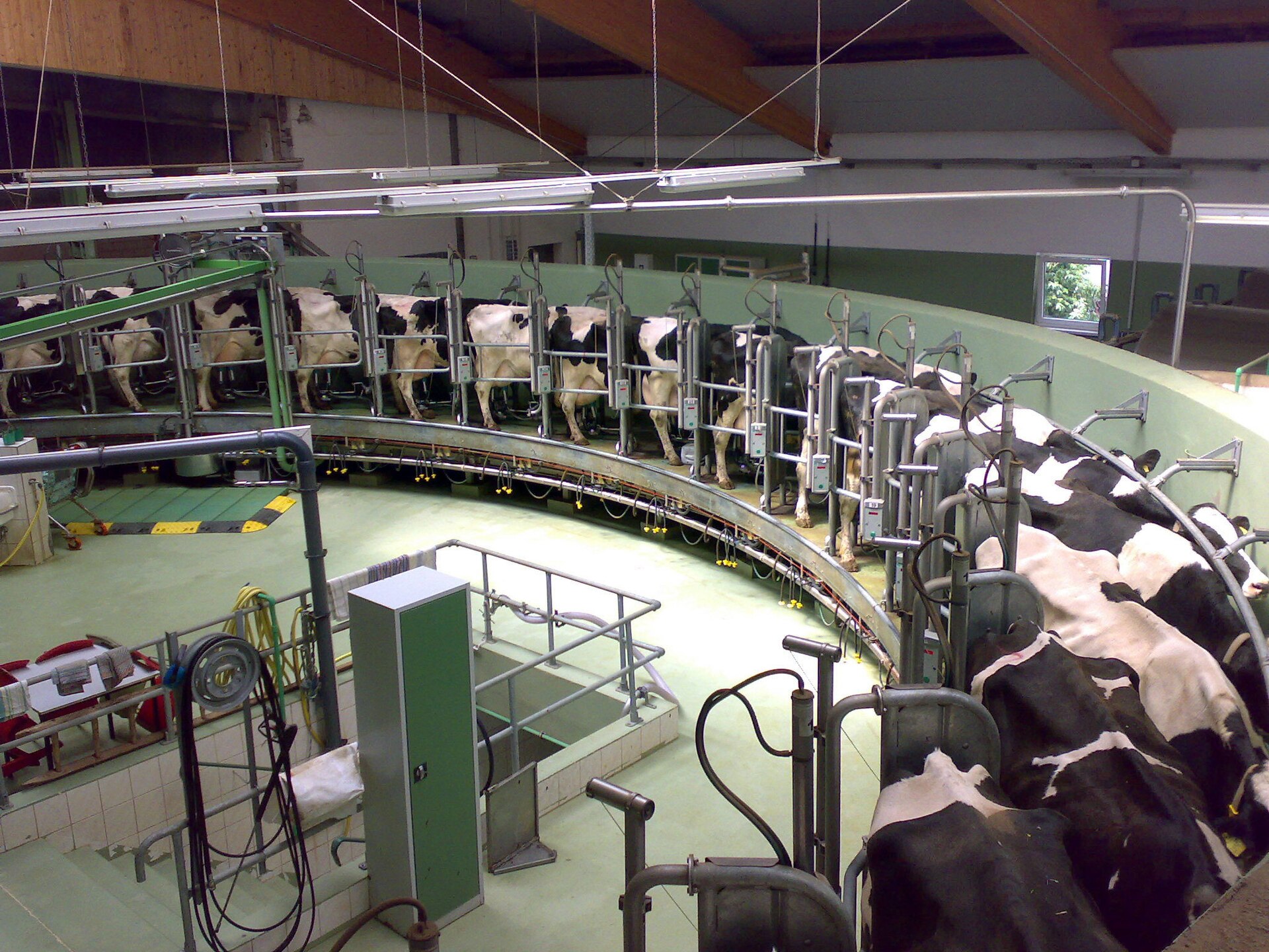 A milking parlour