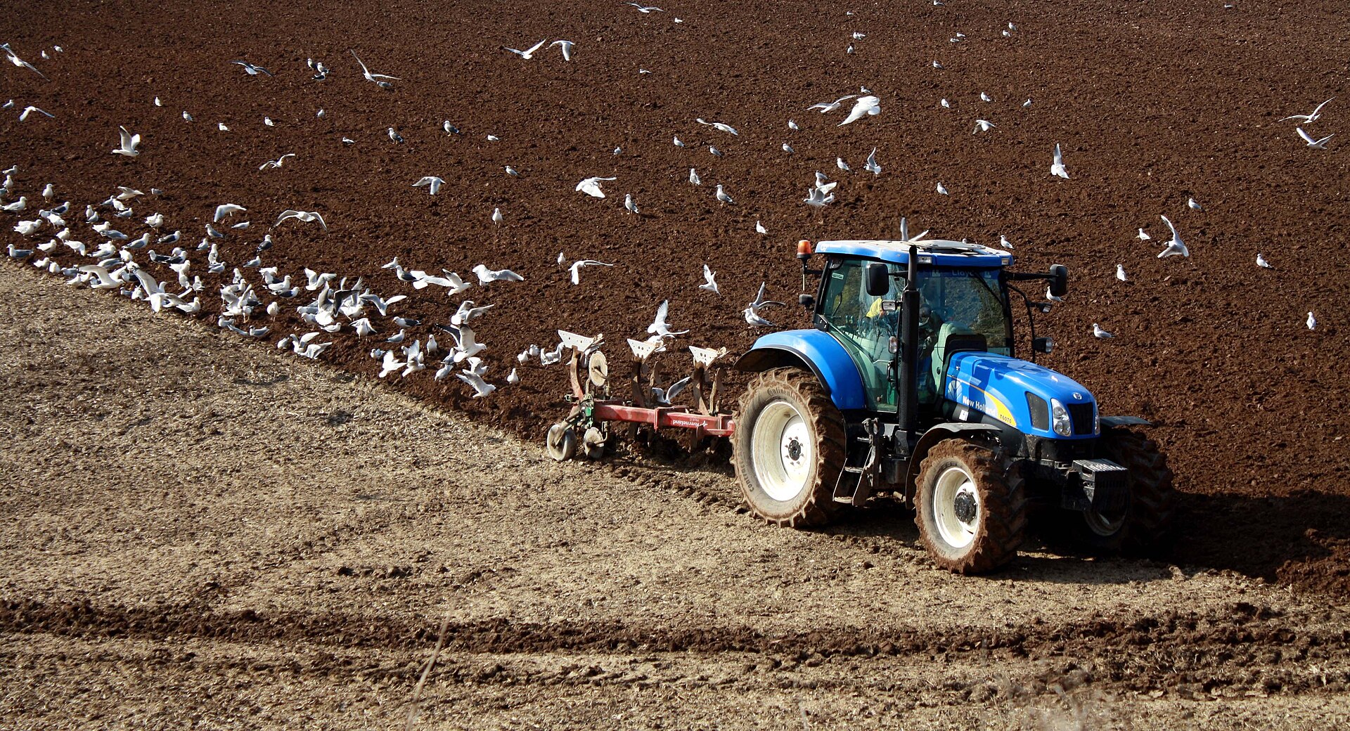 A tractor working a field in Dumfries and Galloway