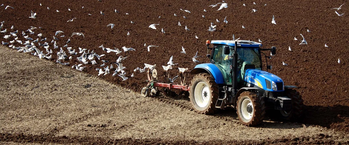 A tractor working a field in Dumfries and Galloway