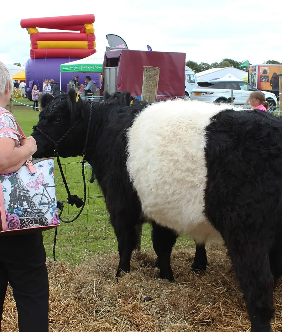 An agricultural show in Dumfries and Galloway